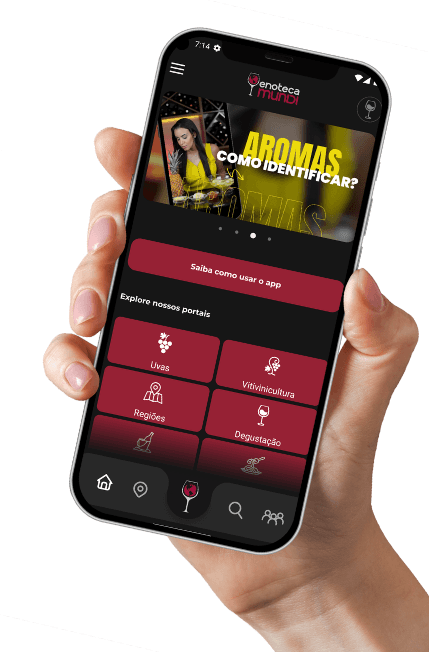 Collage wall containing photos of wineries and wine in bottles and glasses, and in a prominent position a hand holding a cell phone with the Enoteca Mundi app open